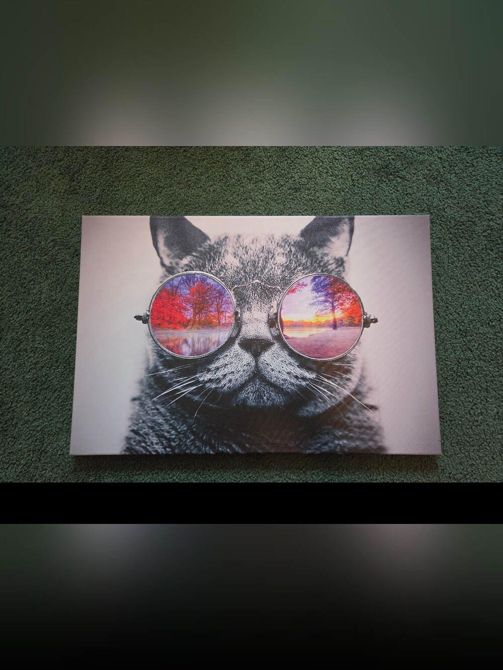 NWOT Canvasc Cat Wall Art with Sunset Sunglasses - Grey
